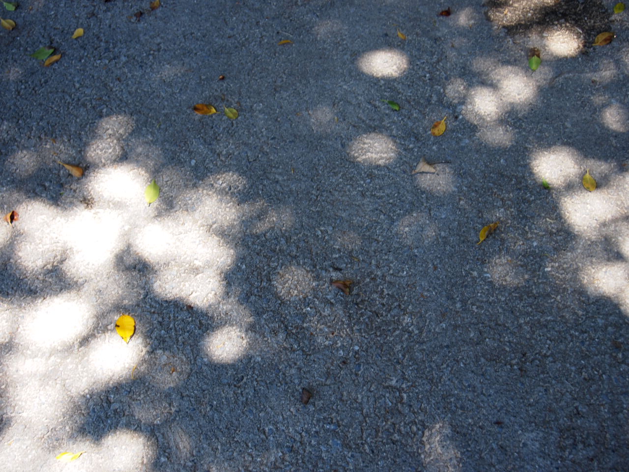 d0169613_184394.jpg