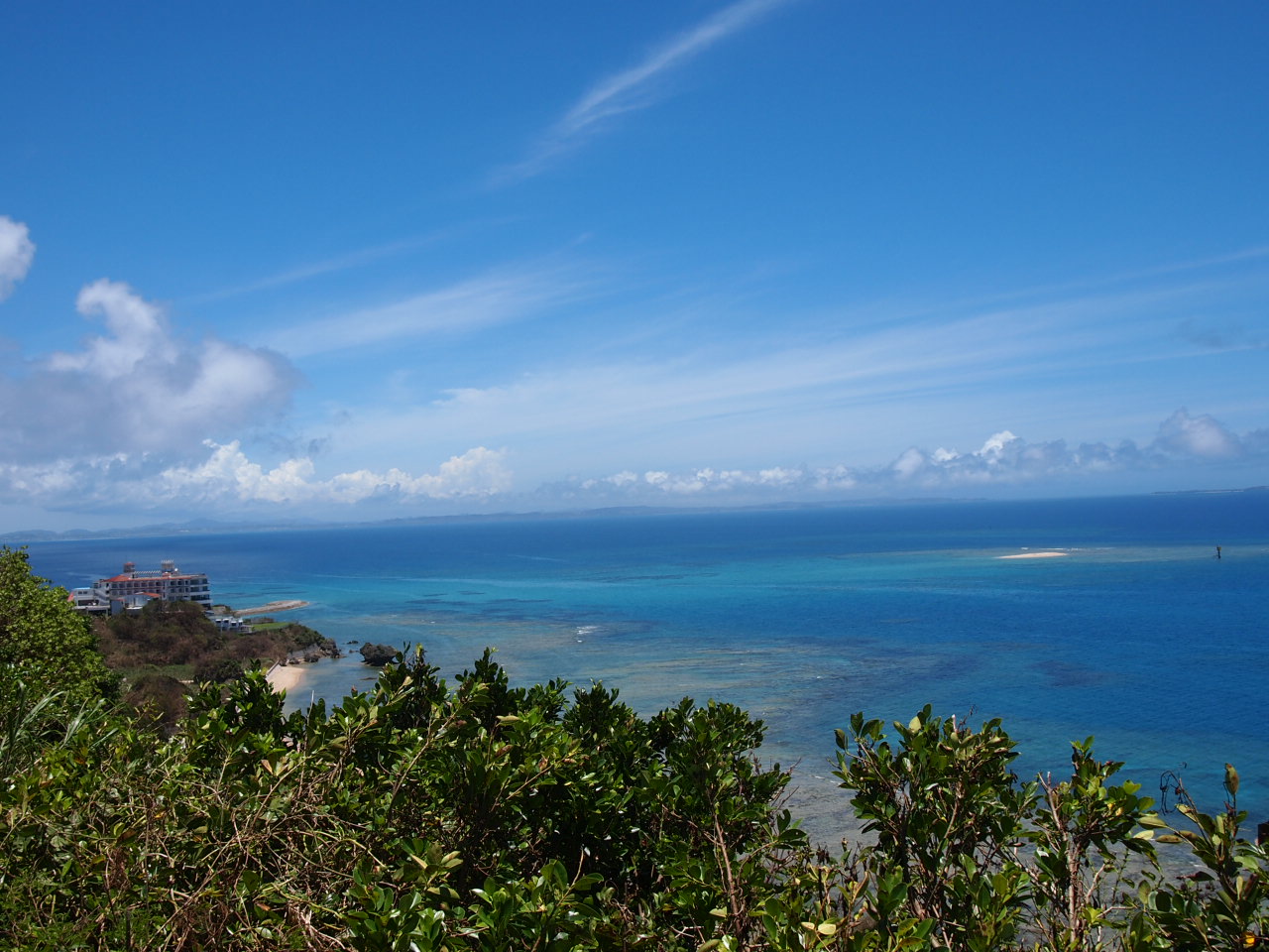 d0169613_20241679.jpg