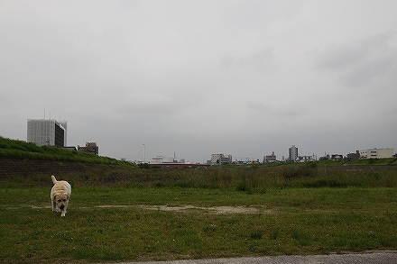 f0191413_20223539.jpg