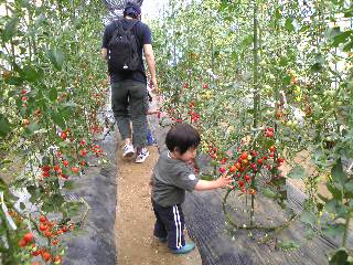 c0003217_0565817.jpg