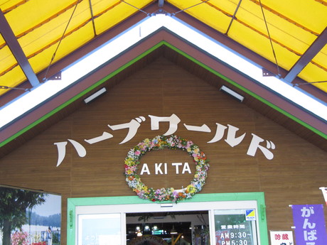 c0190818_8345280.jpg
