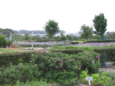 c0190818_8353491.jpg