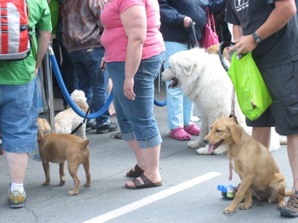 ワンコの祭典＊Woofstock_b0204528_10215459.jpg