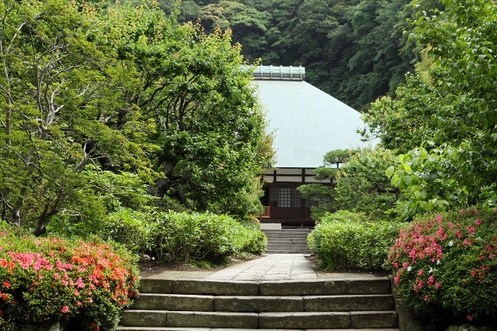 鎌倉散歩　#11 －初夏の浄妙寺－_b0169330_23172091.jpg