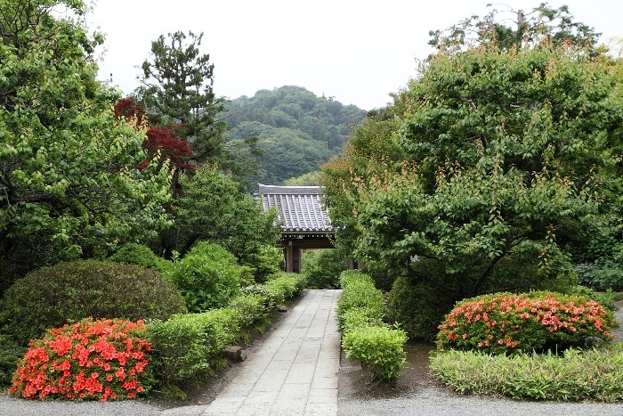 鎌倉散歩　#11 －初夏の浄妙寺－_b0169330_23174393.jpg