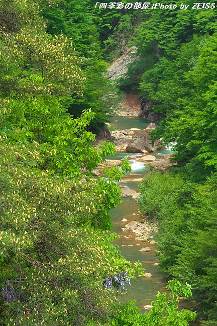 a0195032_20351727.jpg