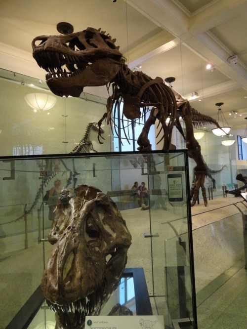 f0238932_5181315.jpg
