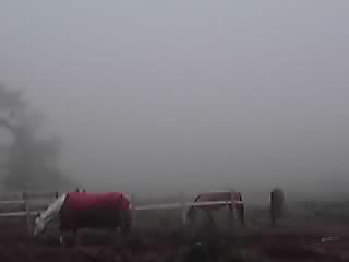 急に霧中に_e0145441_19483613.jpg