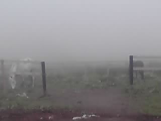 急に霧中に_e0145441_19484923.jpg
