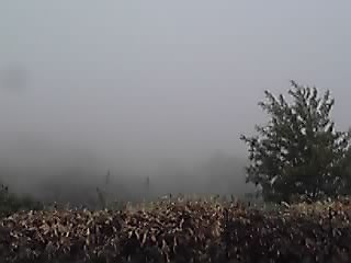 急に霧中に_e0145441_1948550.jpg