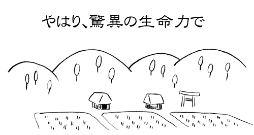 6月12日(日)【西武−阪神】(西武ドーム)11ー5●＜西武2勝2敗＞_f0105741_1215895.gif