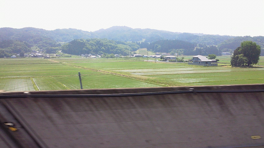 a0151947_11463677.jpg