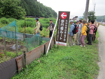 d0048350_20183279.jpg