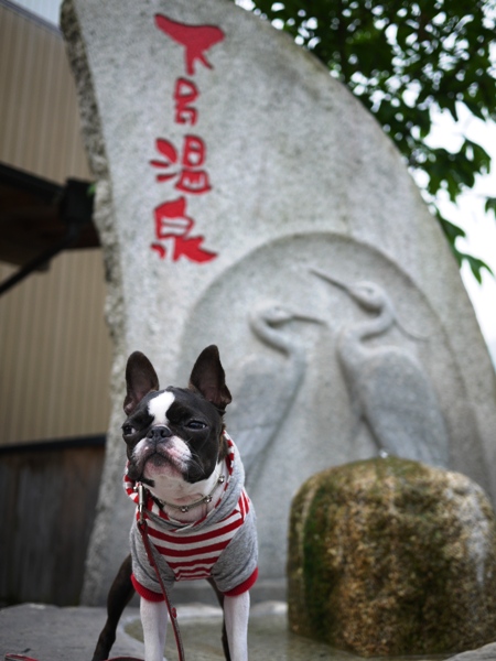 新緑のバースディ旅行（馬籠～岩村城祉編）_d0155952_14374525.jpg