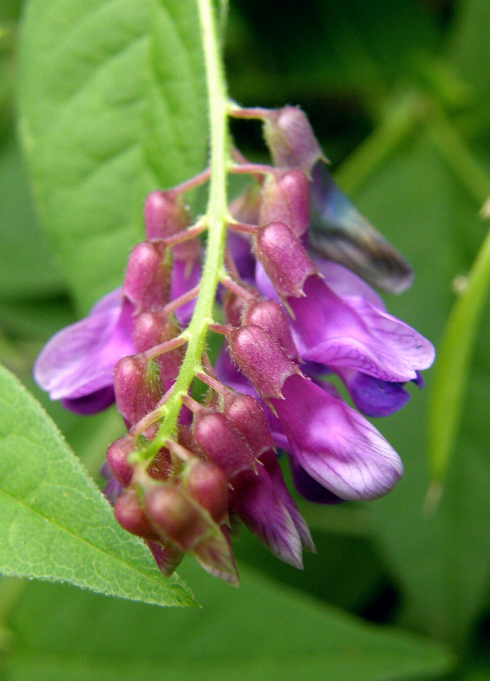 e0064158_2329677.jpg