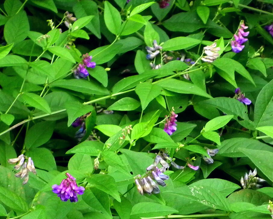 e0064158_23311958.jpg