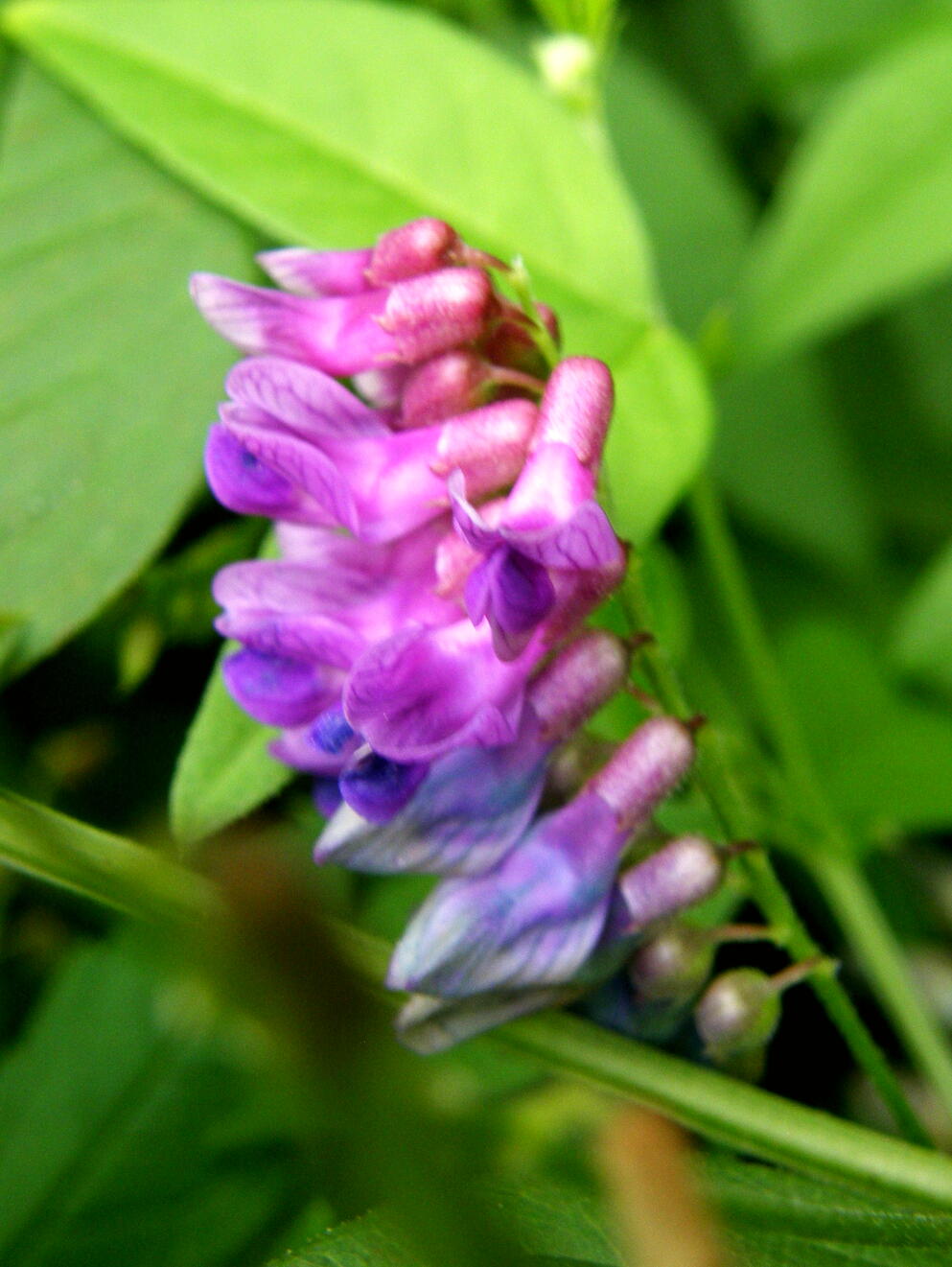 e0064158_23314894.jpg