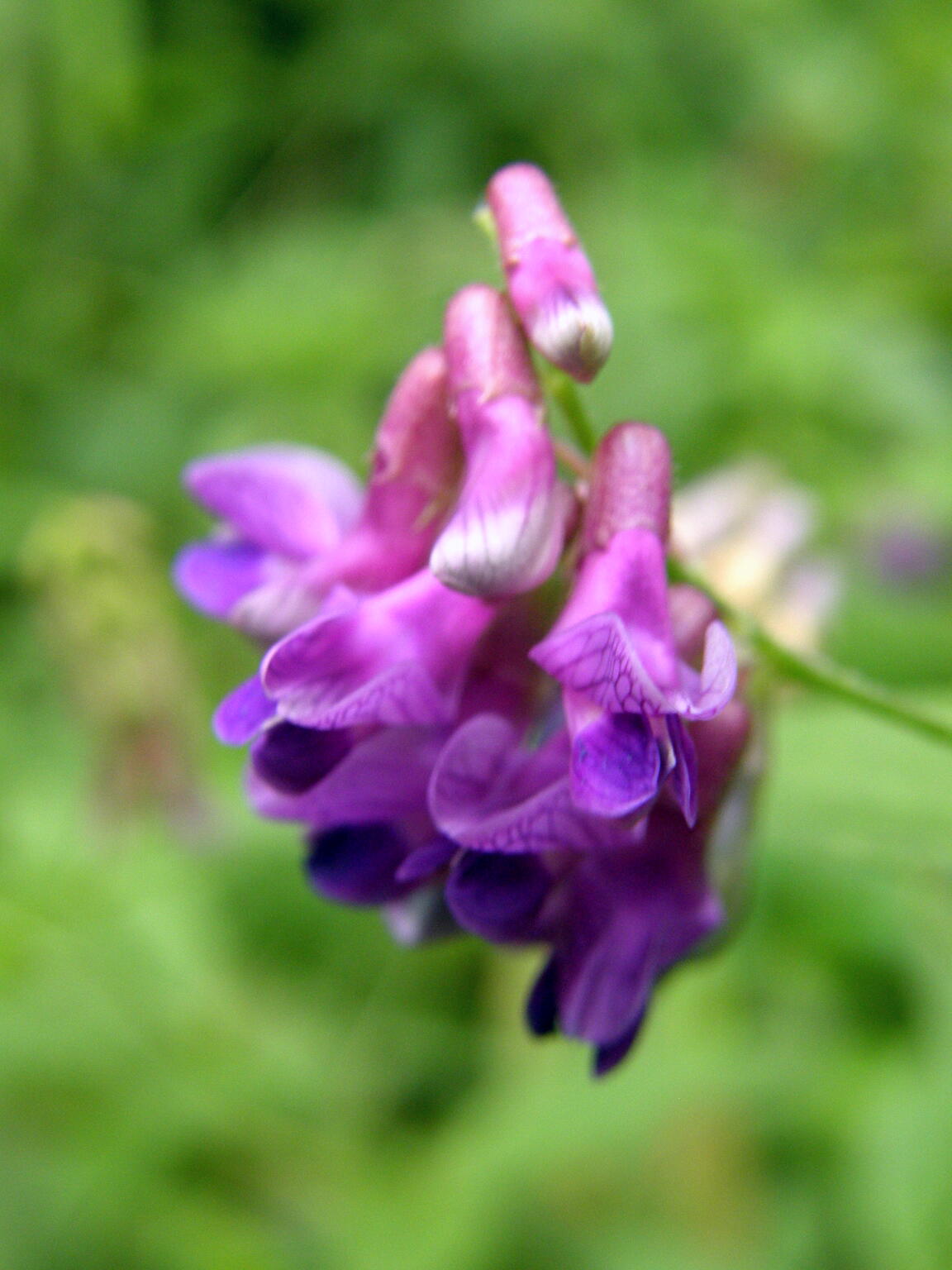 e0064158_2332013.jpg