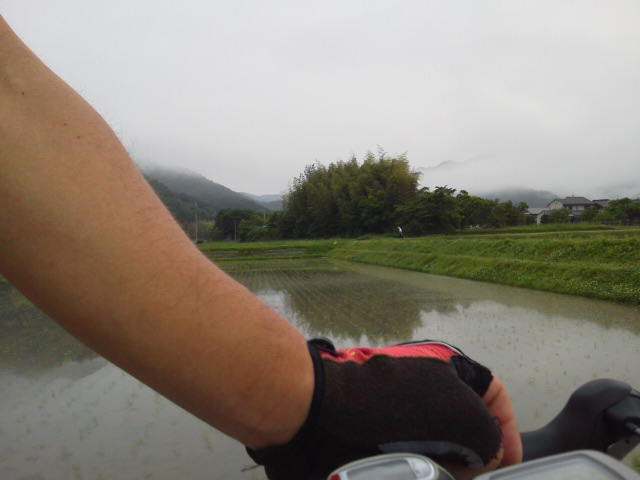 c0214359_20595648.jpg