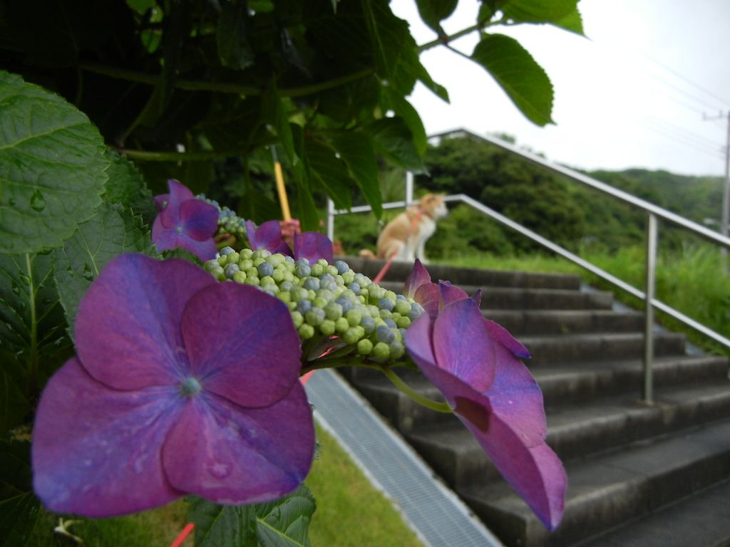 ’11、6月13日(月)歯医者に行ってきました!_f0060461_21391636.jpg