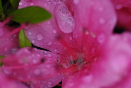雨上がりの「太陽が丘」_e0164563_16263176.jpg