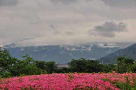 雨上がりの「太陽が丘」_e0164563_162675.jpg