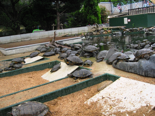 須磨海浜水族園_c0105569_083062.jpg