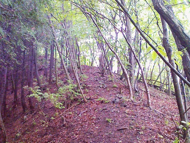 2011/06/11　倉岳山　細野山　鳥屋山_d0233770_22122897.jpg