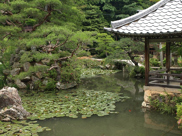 『三田洞弘法の境内を歩いて・・・』　睡蓮池と風景_d0054276_20233086.jpg