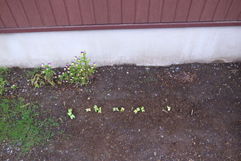 f0217776_14453535.jpg