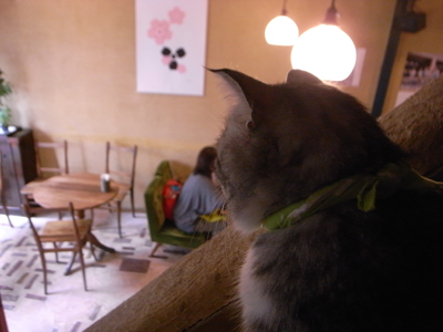 NO_a0180681_17415268.jpg