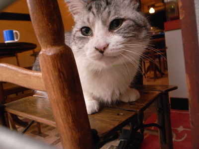 NO_a0180681_20571337.jpg
