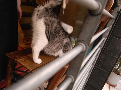 NO_a0180681_2057715.jpg