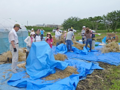 ナタネの収穫体験教室　2011.6.12(日)_c0145581_9474096.jpg