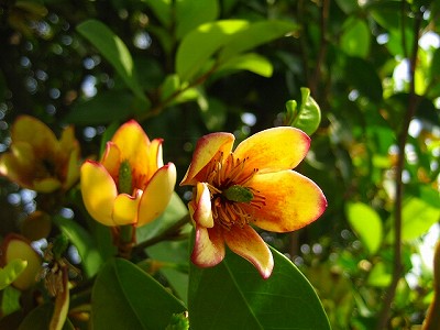 c0229483_233423.jpg
