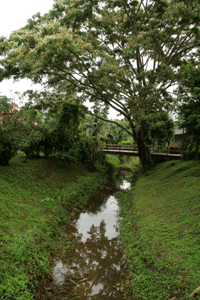 b0160186_1413348.gif