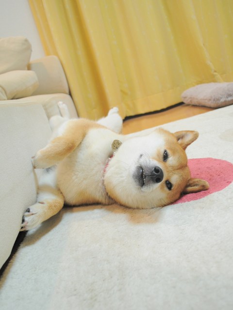 やってしまった!_a0126590_66410.jpg