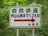 円山登山_b0173390_17351437.jpg