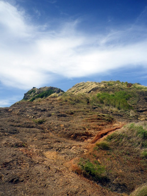 f0220791_8294175.jpg