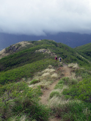 f0220791_8322590.jpg