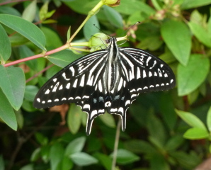 f0166694_1929552.jpg