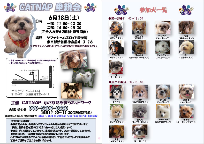 参加犬が決定しましたよ！_f0220497_2072360.jpg