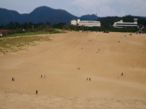 e0140900_2203475.jpg