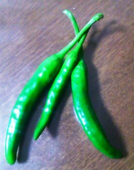 c0197508_10173334.jpg