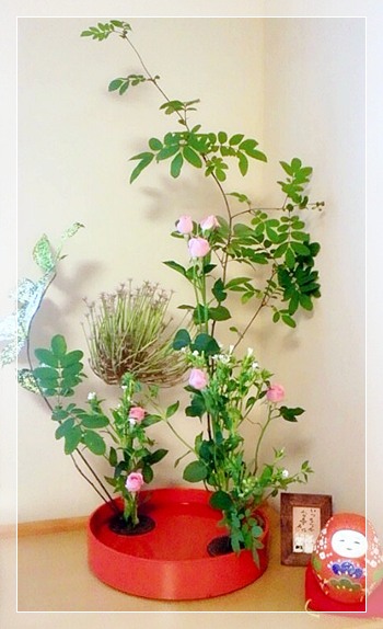 夏の活け花&病室の生け花_b0151911_11470100.jpg