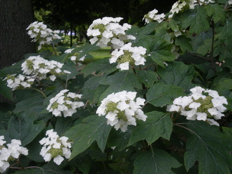 c0124619_05654.jpg