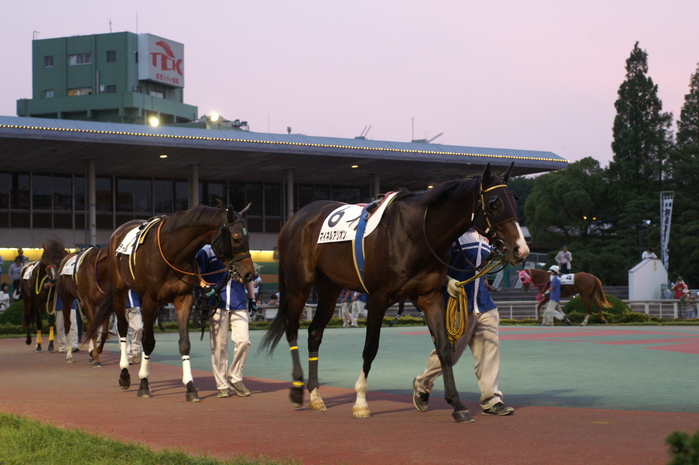 【ＴＣＫ東京シティ競馬　競馬観戦型レストラン「ダイヤモンドターン」 】に娘に誘われて行って来ました。_b0033423_1084384.jpg