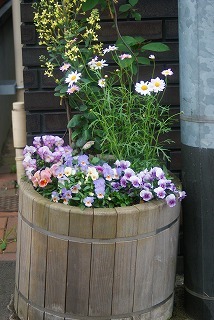 f0170524_122061.jpg