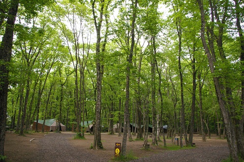 b0174425_200281.jpg