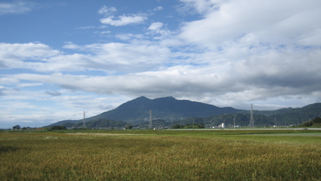 今年の梅は不作　と筑波山_b0100229_211620100.jpg